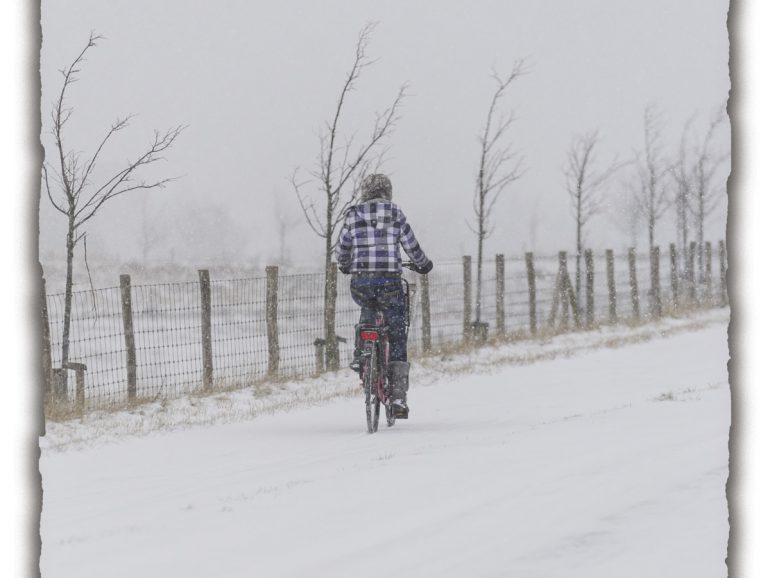 Ondergesneeuwd door Belgische jazz