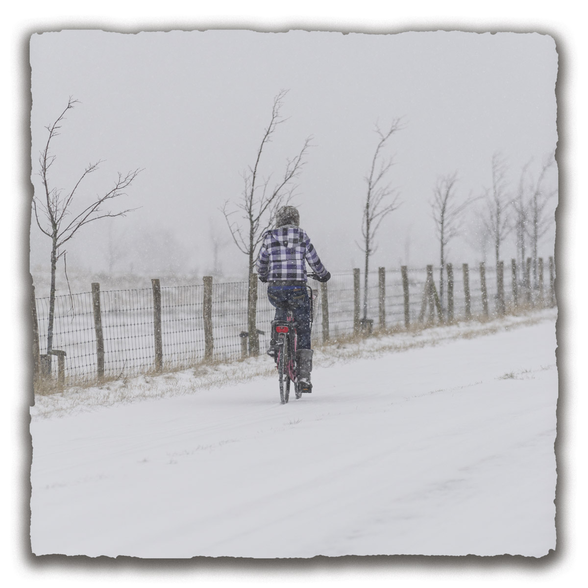 Sneeuw jazz
