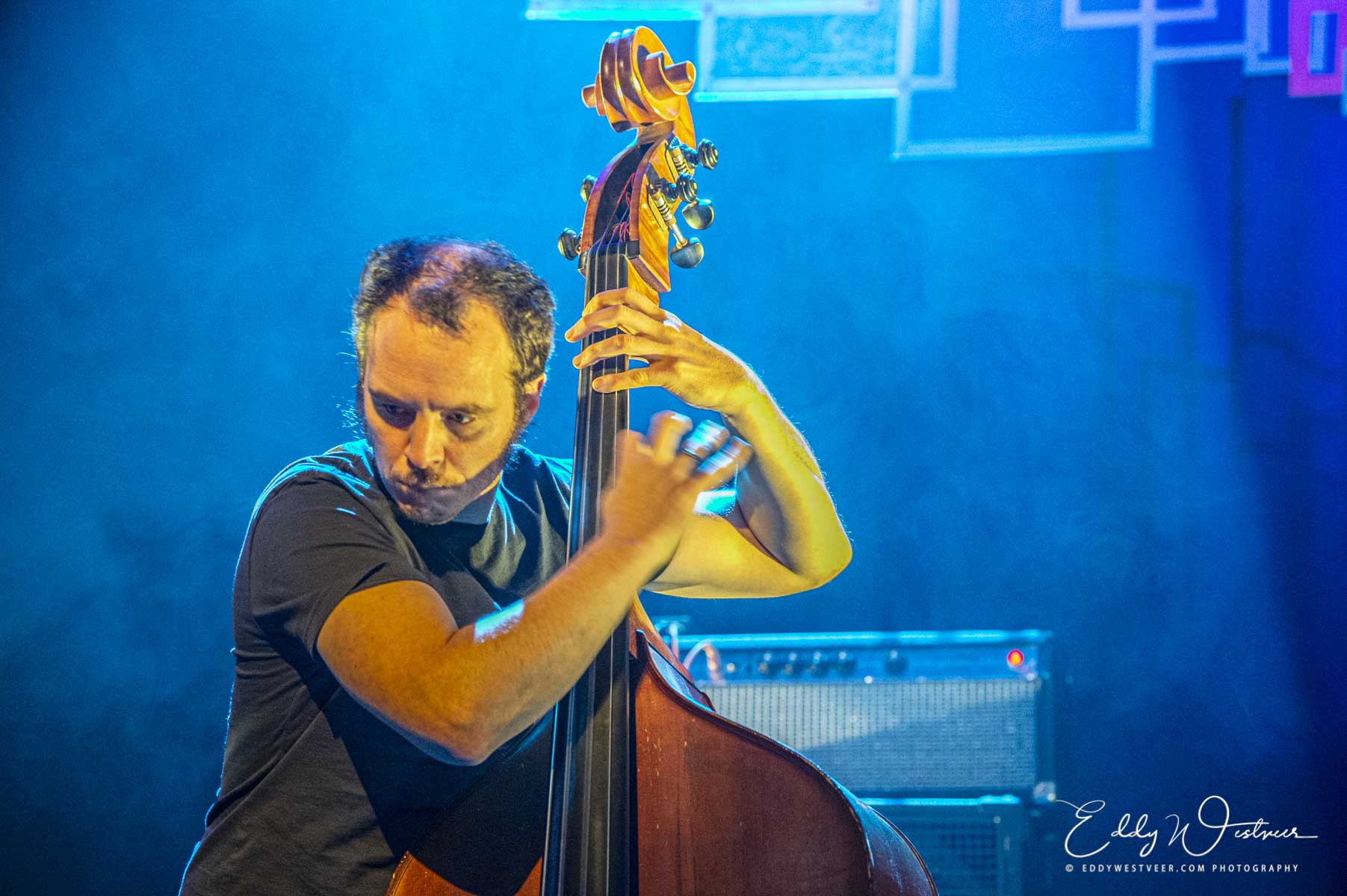 Lieven Van Pée