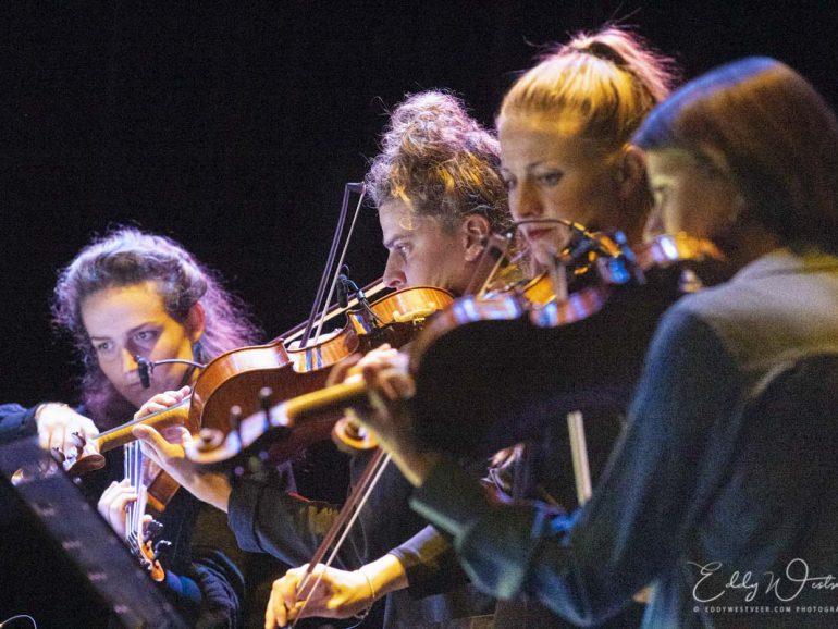 November Music in alle kleuren van de regenboog